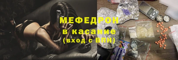 мдпв Богданович