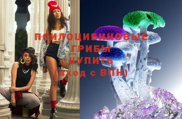прущий лед Богородск