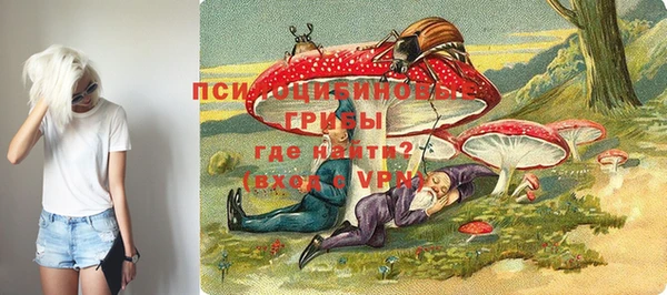 прущий лед Богородск