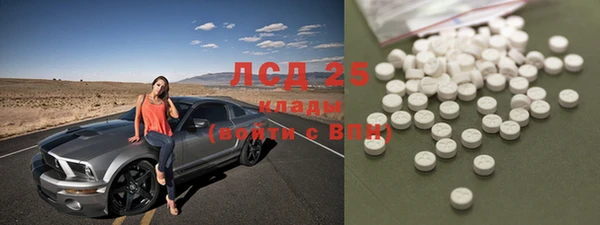 мдпв Богданович