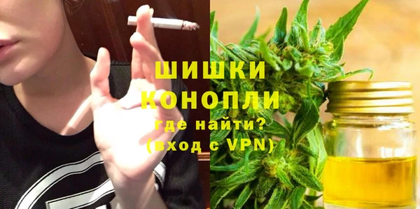 мдпв Богданович