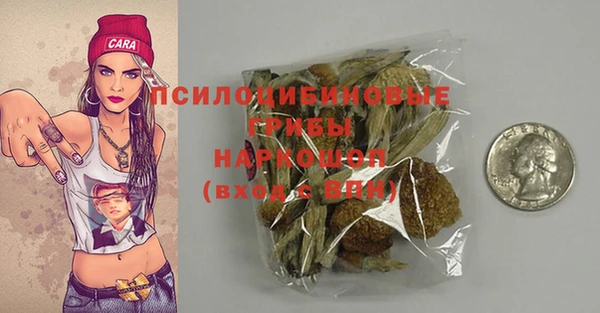 мдпв Богданович