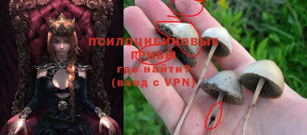 мдпв Богданович