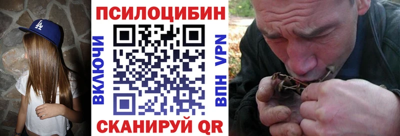 Псилоцибиновые грибы MAGIC MUSHROOMS цена даркнет телеграм Ковров