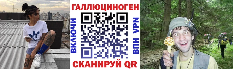 Галлюциногенные грибы GOLDEN TEACHER Ковров